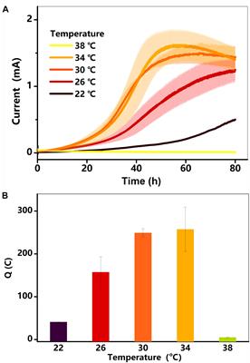 Influence of Incubation Temperature on 9,10-Anthraquinone-2-Sulfonate (AQS)-Mediated Extracellular Electron Transfer